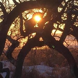 Meet your Posher, Sue